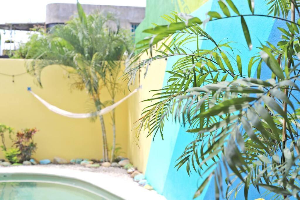 Studio -Trees At Mikasa- Near Beach, Pool, Fast Wifi, Ac & King Bed Puerto Escondido  Εξωτερικό φωτογραφία